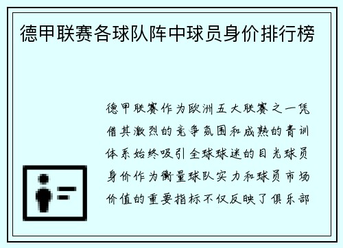 德甲联赛各球队阵中球员身价排行榜